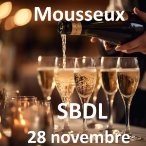 Soirée Vins & Fromages - SBDL- Vendredi 28 novembre 2025 - Individuel